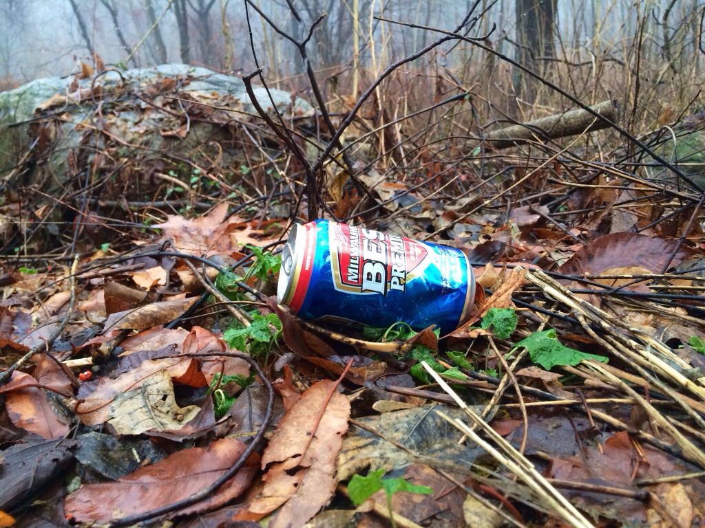 Littered with Beauty