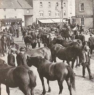 HorseMarket