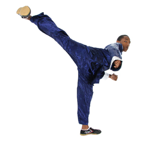 kung_fu_austin_side_kick_35