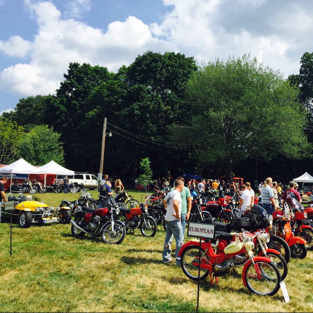 2015: The Year in Rear&nbsp;View